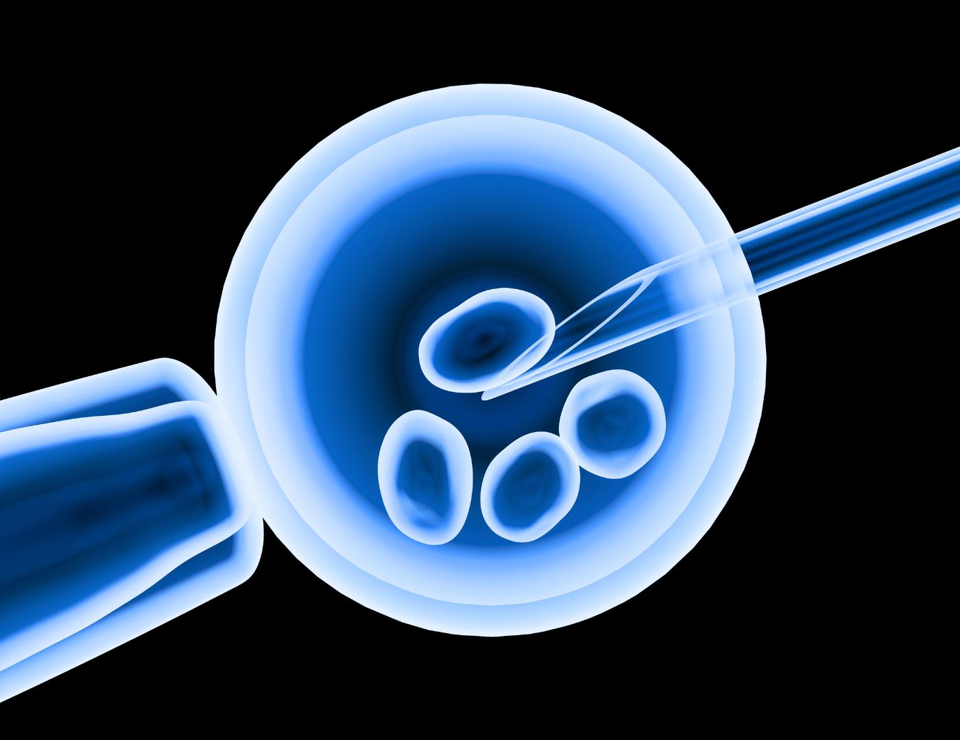 Embriotransferul si perioada imediat urmatoare